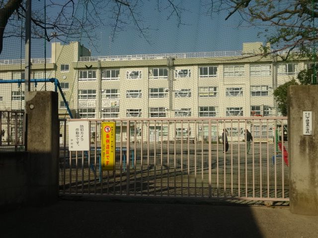 Primary school. Municipal Shimokamada 220m east to elementary school (elementary school)
