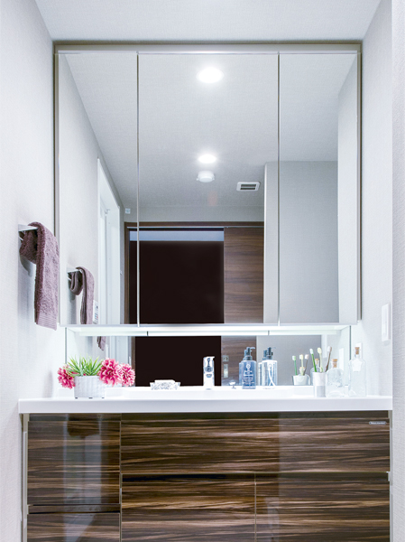 Bathing-wash room.  [Powder Room] Employed as convenient cosmetics pocket for health meter storage space and cosmetics and daily accessories. Powder room with enhanced functionality. (Model Room N1 type)