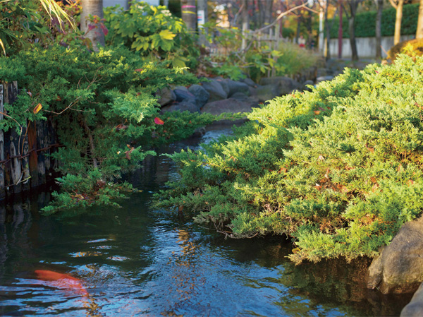 Surrounding environment. The local neighborhood, including the park can enjoy the green and waterside environment, such as Ichinoe Sakaigawa water park (about 240m), Nishiichinoe elementary school, About 10m either to Matsue sixth junior high school. Parenting-friendly system also happy to family you want a carefree To Parenting in Edogawa-ku, which are maintenance living environment.