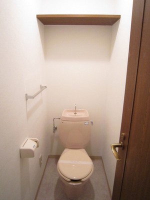 Toilet. With shelf / toilet