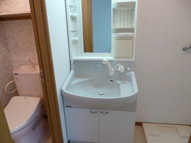 Washroom. Shampoo dresser with separate wash basin