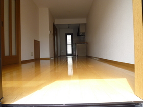 Living and room. Sunny living