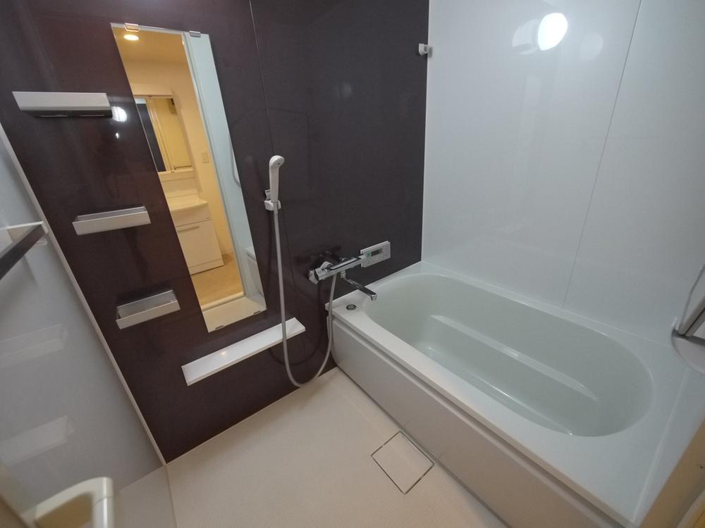 Bathroom. June 2009 exchange