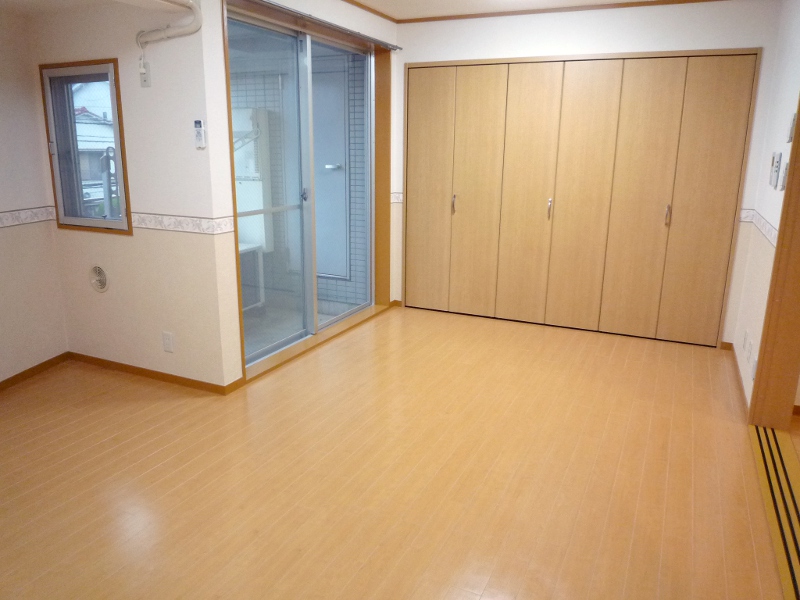 Living and room. Western-style storage surface