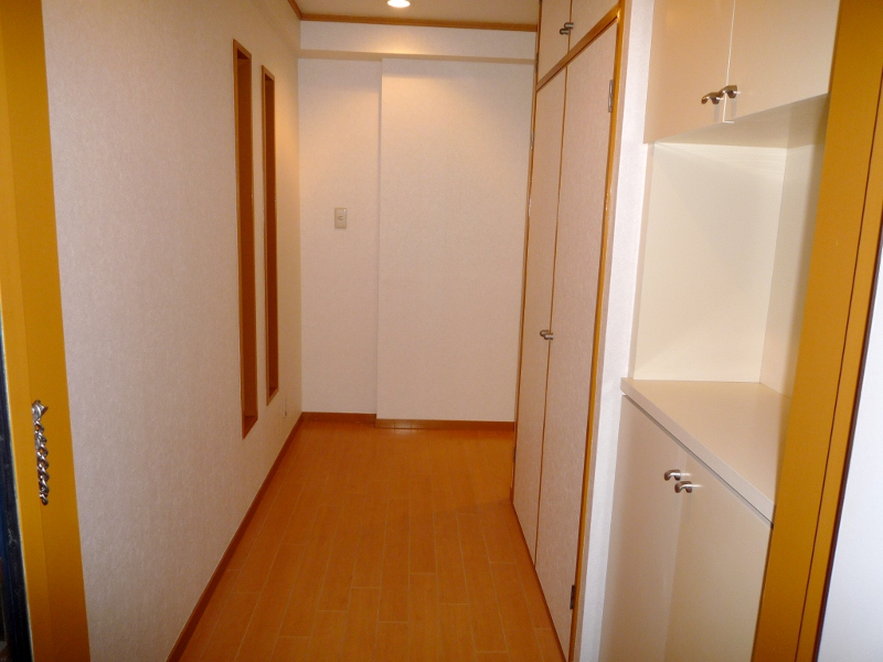 Entrance. Entrance passage / Shoes BOX and there entrance storage.