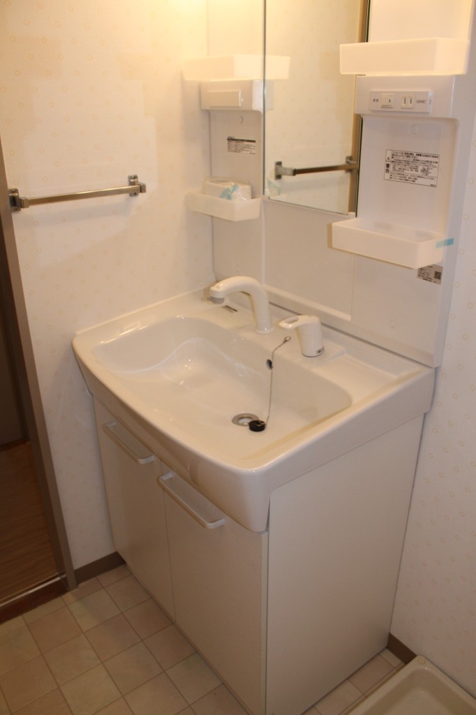 Washroom. Bathroom vanity