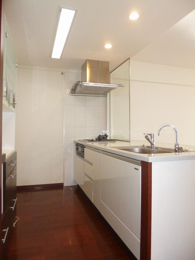 Kitchen. System kitchen with counter. So you can see how the living-dining, Also contains the power to prepare the meal.