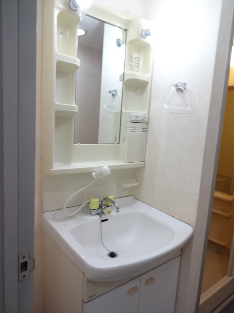 Washroom. Shampoo with Dresser