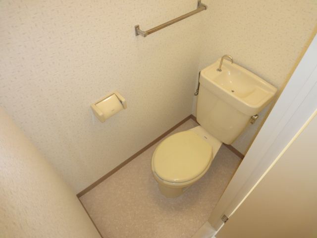 Toilet. Independent wash basin