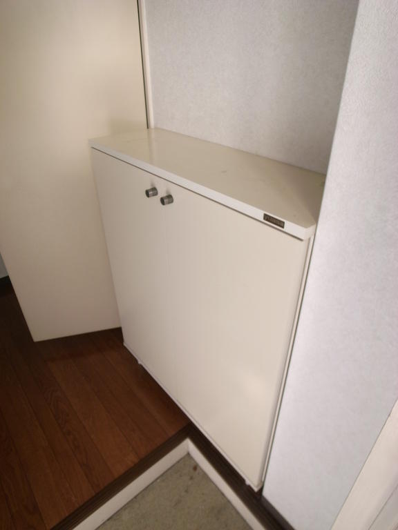 Entrance. With shoe box