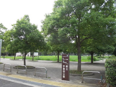 park. Until the (park) 320m