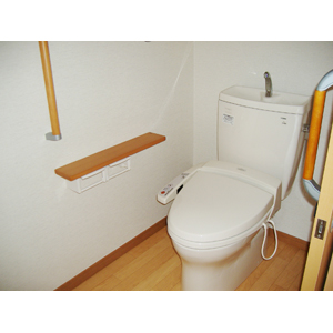 Toilet. The entrance is also equipped with a handrail in the sliding door.