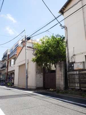 Local land photo. Property appearance