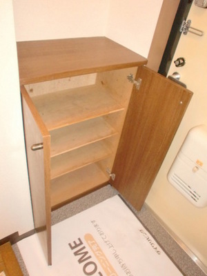 Entrance. image / It will be the same type of photo of another in Room