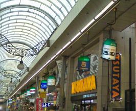 Rental video. TSUTAYA Shinkoiwa shop 599m up (video rental)