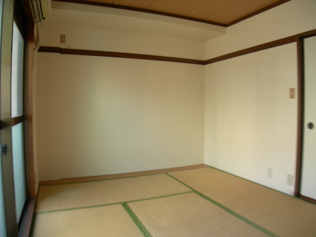 Living and room. Japanese-style room (3)