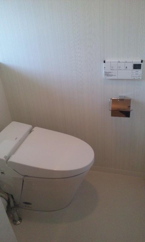 Toilet. Indoor (11 May 2013) Shooting