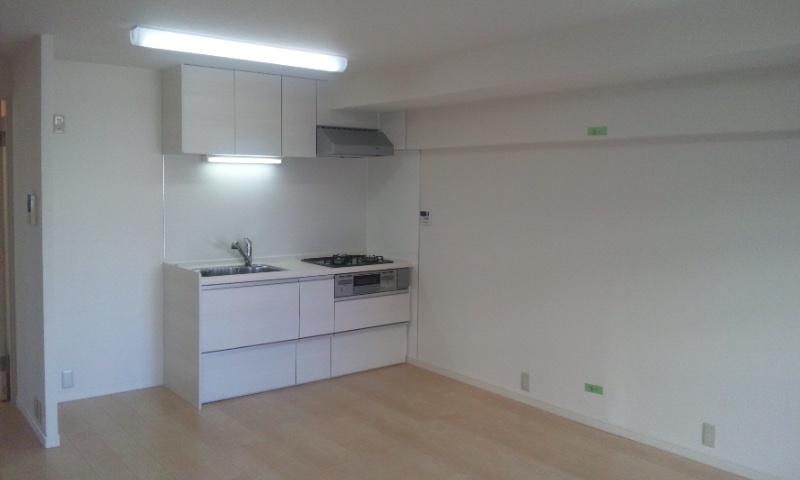 Kitchen. Indoor (11 May 2013) Shooting