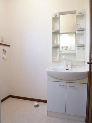 Washroom. Shampoo dresser