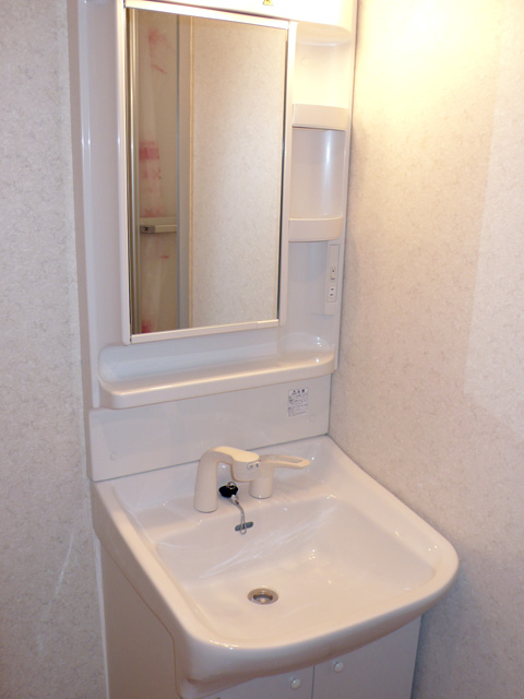 Washroom. Shampoo dresser