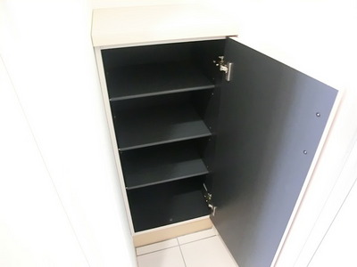 Entrance. With a convenient shoe box.