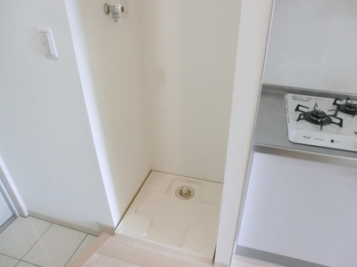 Other. It is indoor washing machine Storage.