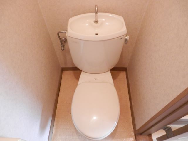 Toilet. Toilet