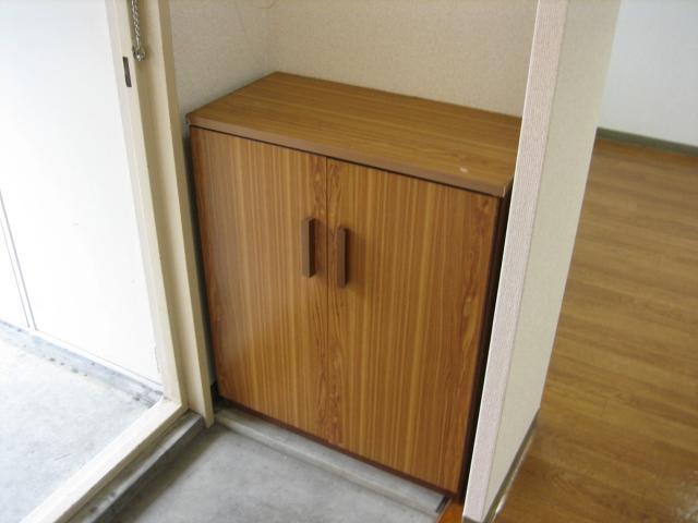 Entrance. Cupboard (the same type)