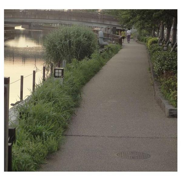 kindergarten ・ Nursery. Edogawa Ward Funabori kindergarten (kindergarten ・ 175m to the nursery)