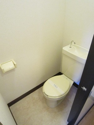 Toilet. Western-style toilet