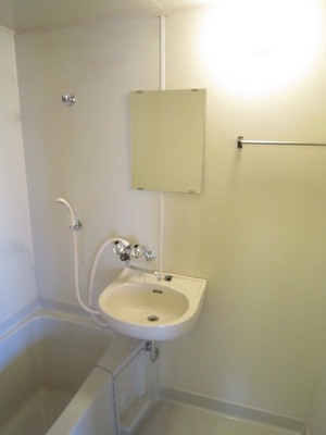 Washroom. Washbasin with mirror