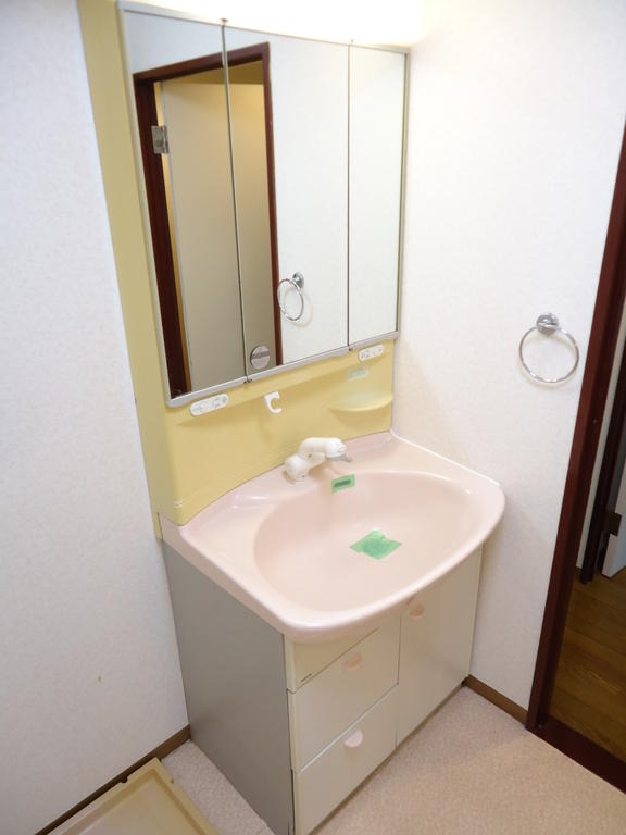 Washroom. Shampoo with Dresser