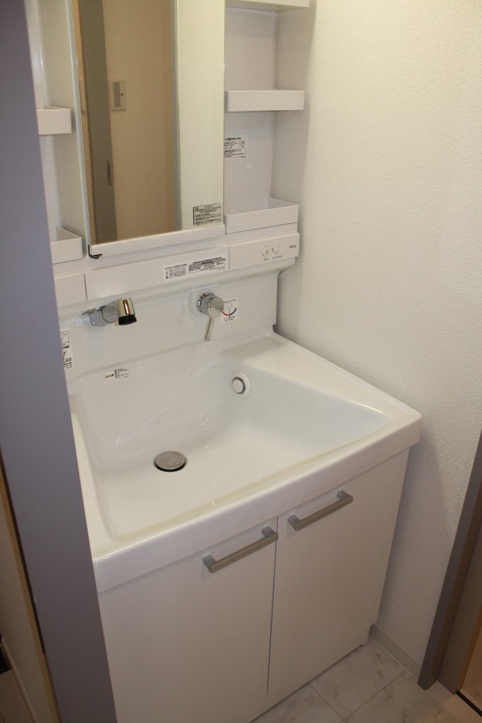 Washroom. Shampoo dresser with vanity