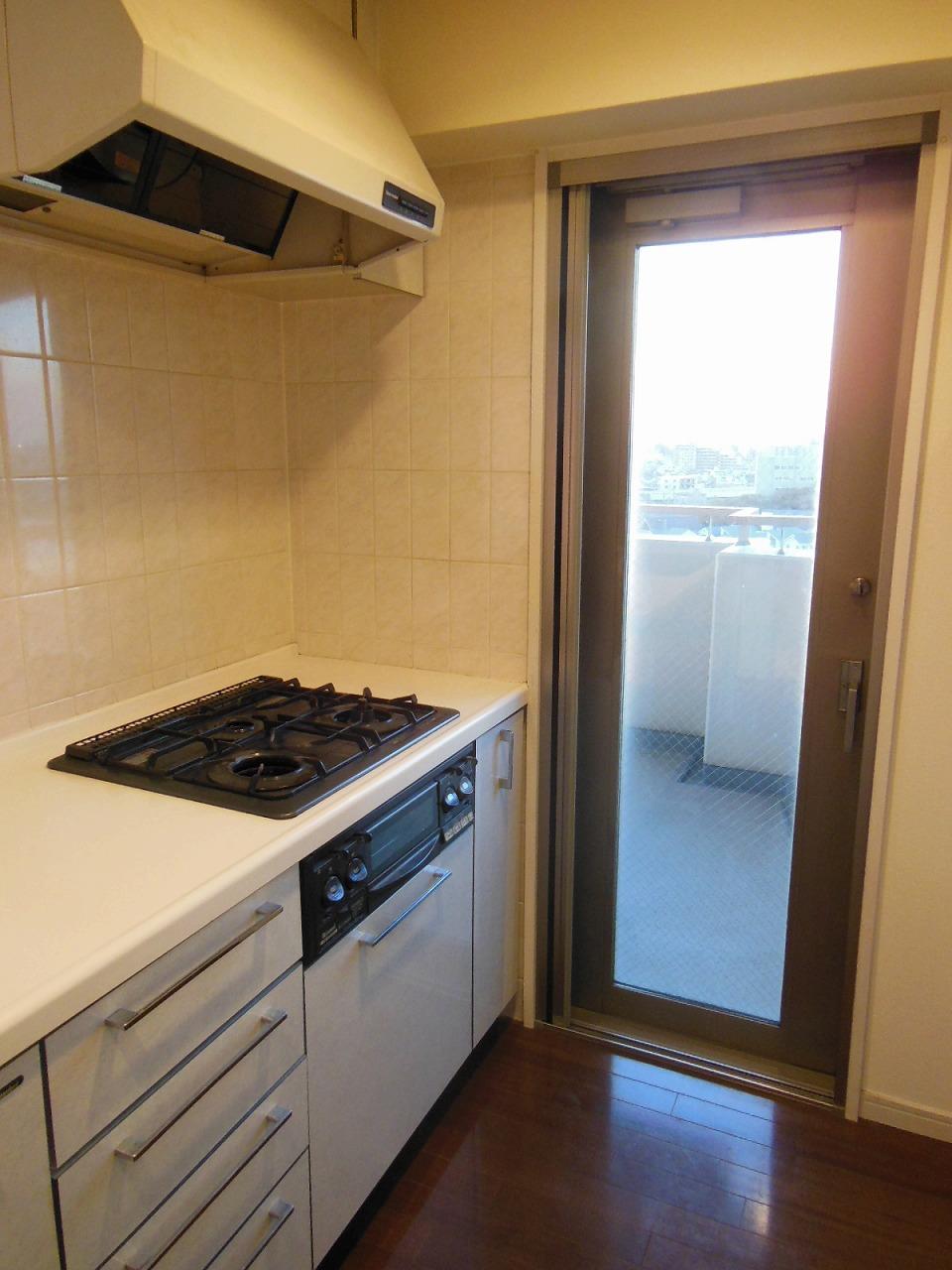 Kitchen. Local (11 May 2013) Shooting