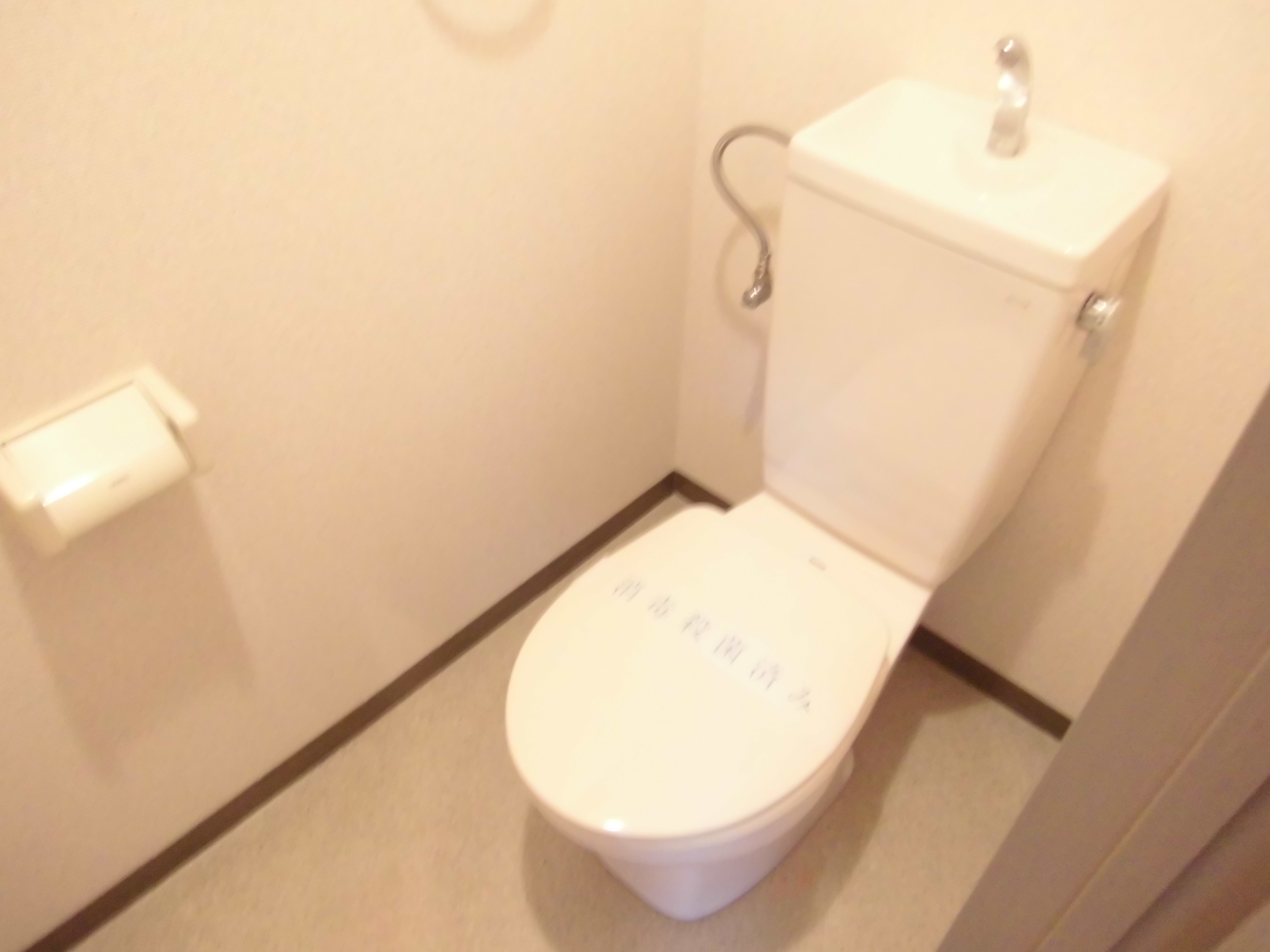 Toilet