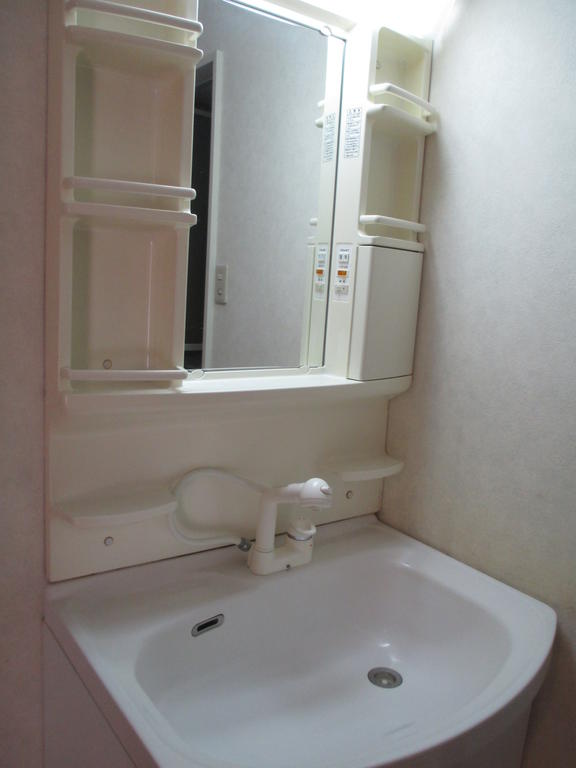 Washroom. Shampoo dresser washbasin