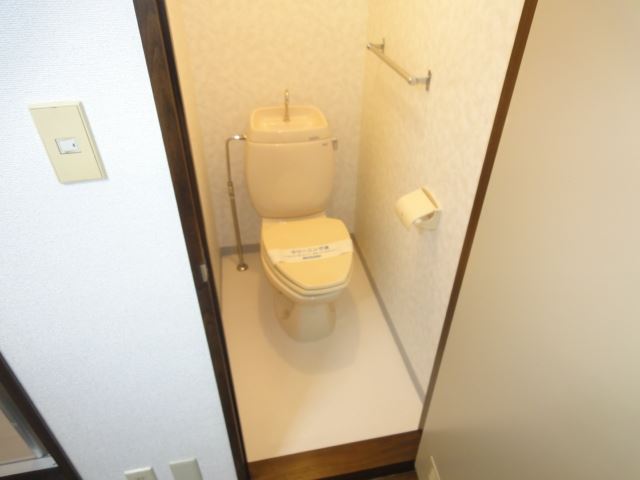 Toilet. Western-style toilet