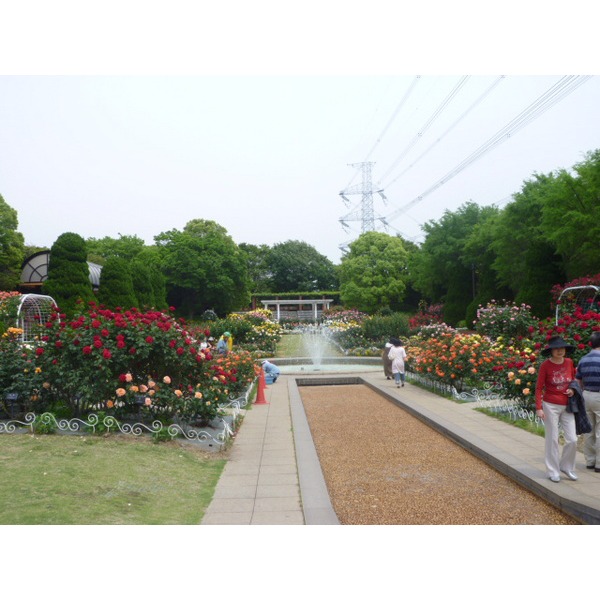 park. Horie 586m to the park (park)