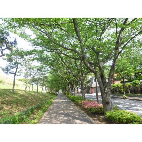 park. Horie 586m to the park (park)