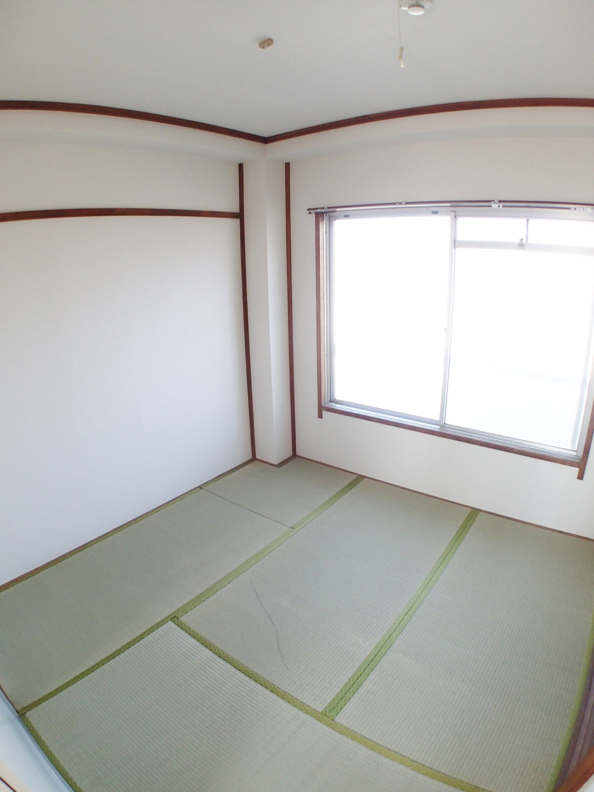 Living and room. Cross Zenhari Kawasumi