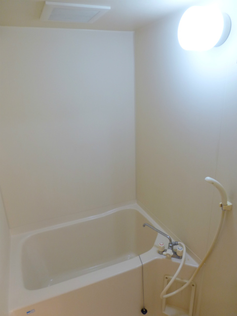 Bath. Clean and full of a feeling of the bathroom