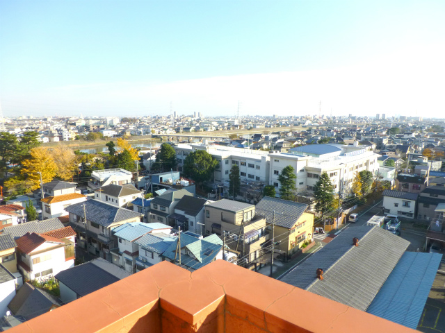 View. View from the balcony