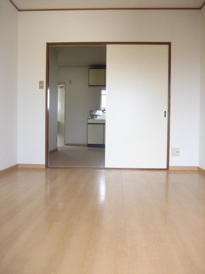 Living and room. Room 2