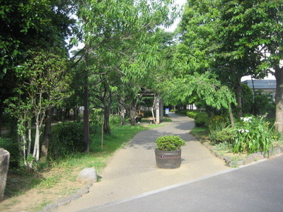 park. 15m to the water park (park)