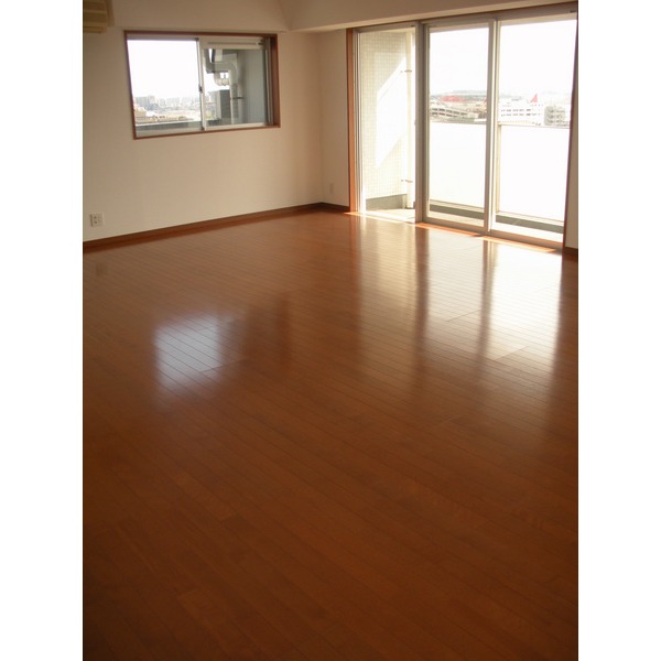 Living and room. Living