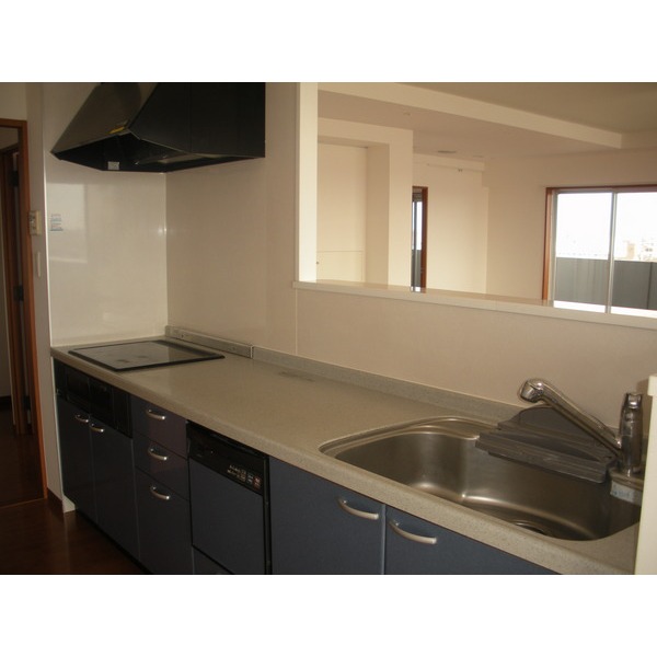 Kitchen. IH system kitchen