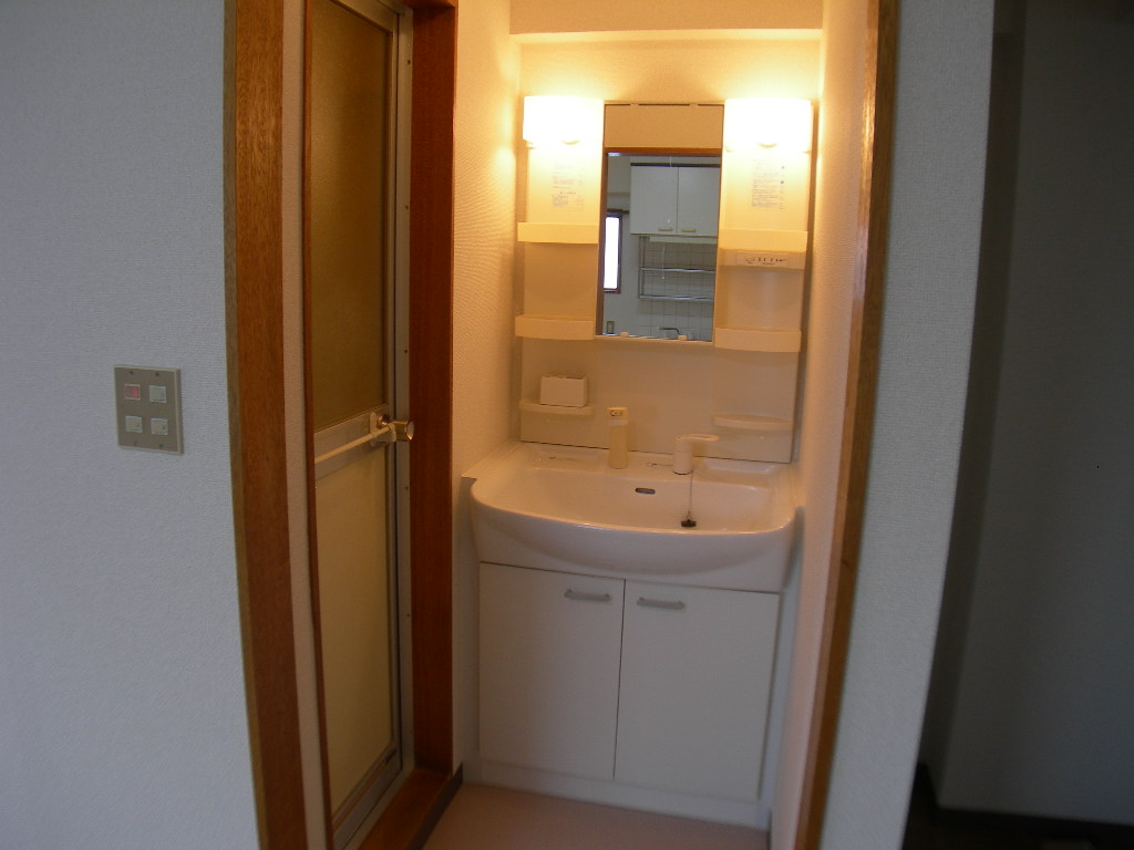 Washroom. Vanity shower