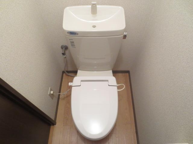 Toilet. Toilet
