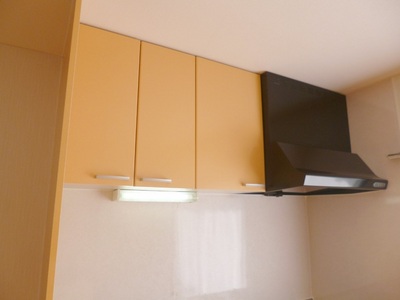 Other. There is a kitchen upper receiving