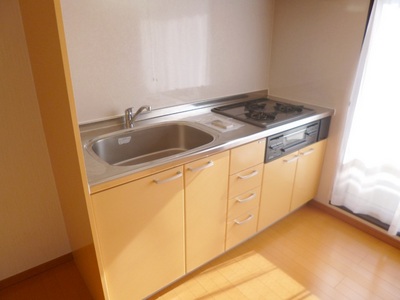 Kitchen. Spacious kitchen space